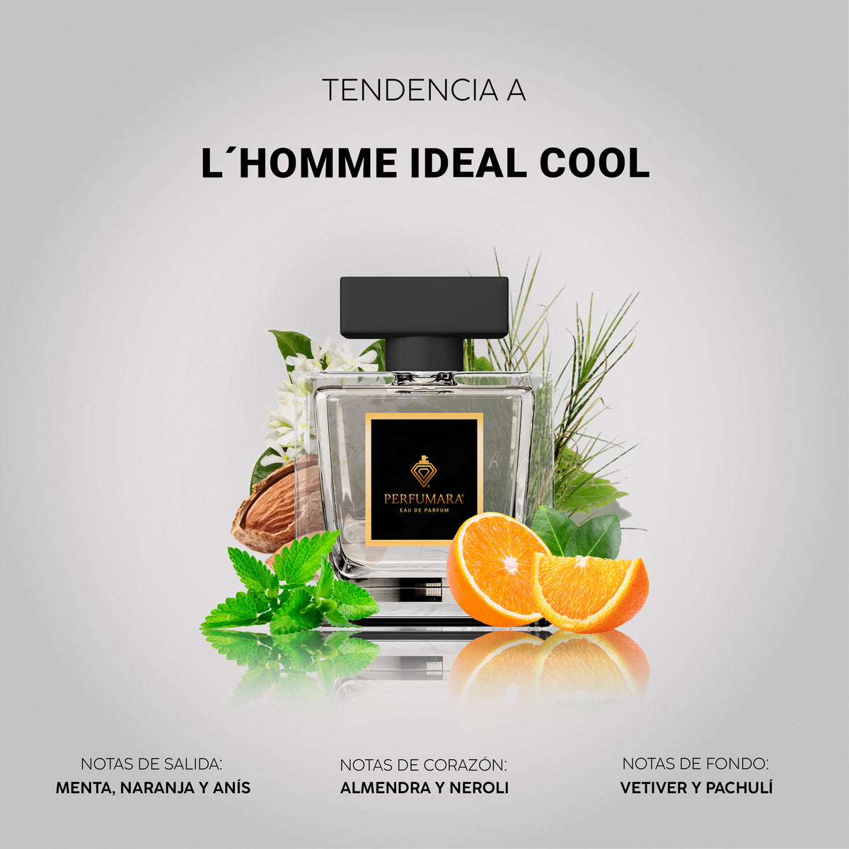 Tendencia a L'Homme Idéal Cool