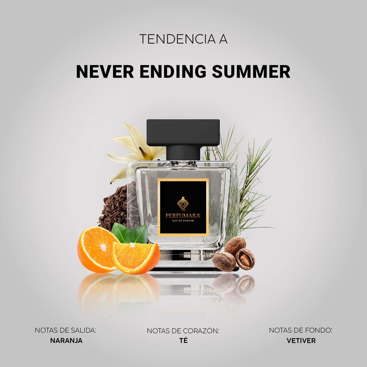 Tendencia a Never Ending Summer