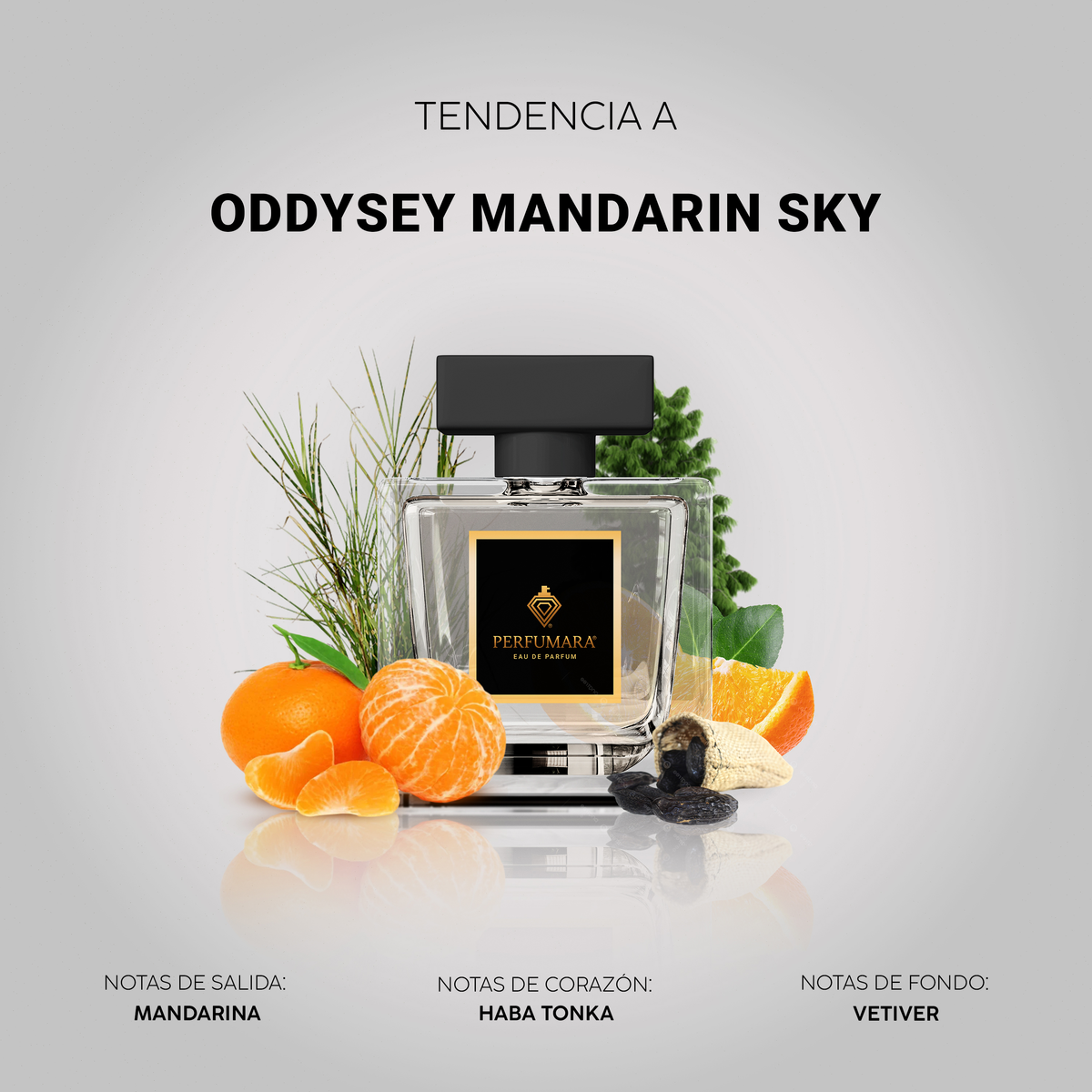 Tendencia a Oddysey Mandrin Sky