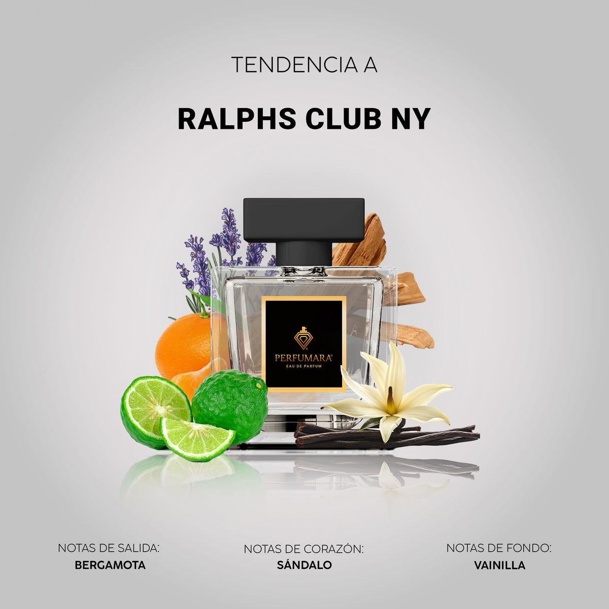 Tendencia a Ralph's Club New York