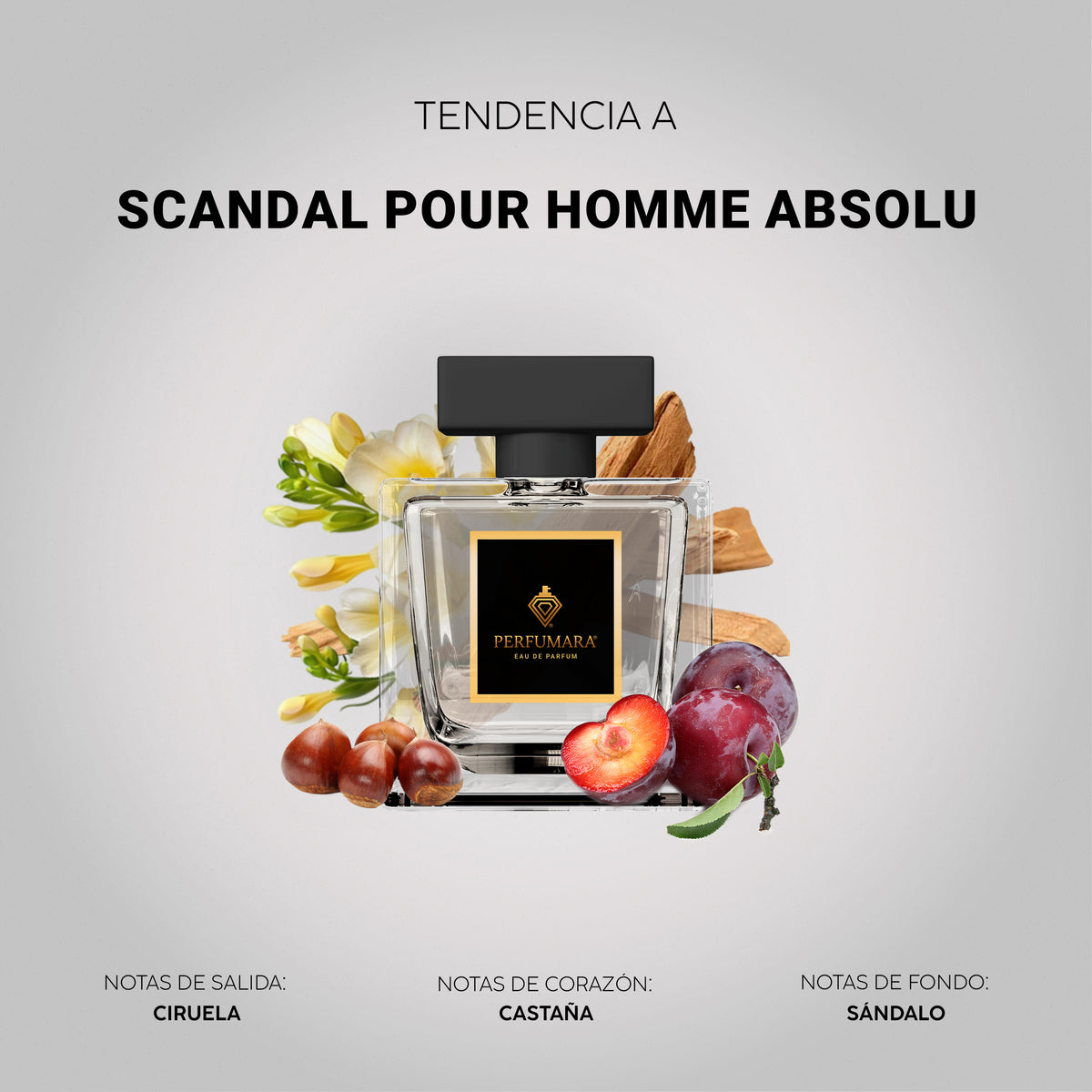 Tendencia a Scandal Pour Homme Absolu