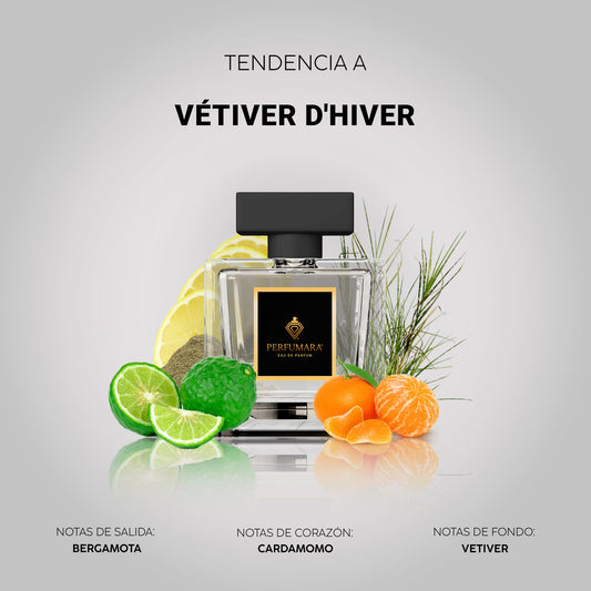 Tendencia a CVétiver d'Hiver