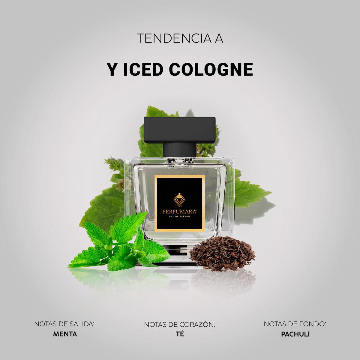 Tendencia a Y Iced Cologne