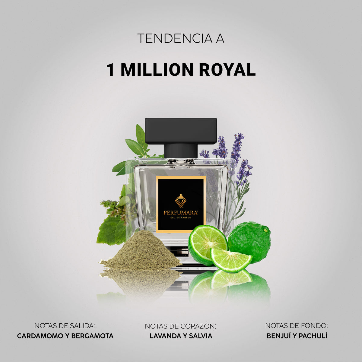 Tendencia a One Million