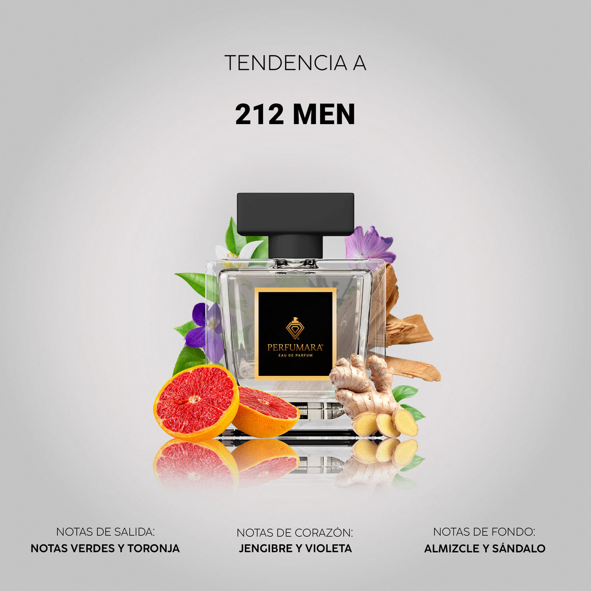Tendencia a 212 Men