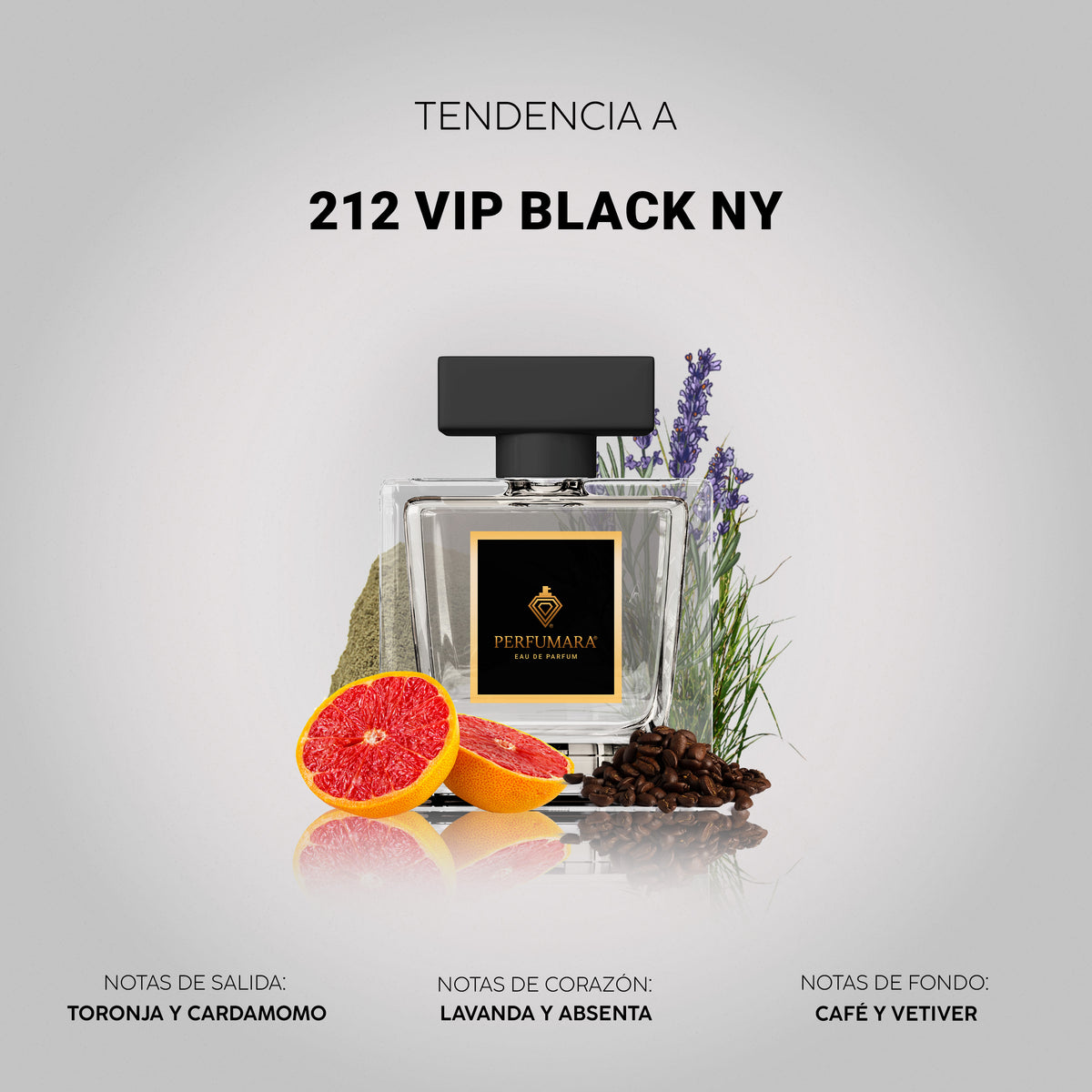 Tendencia a 212 VIP Black NY