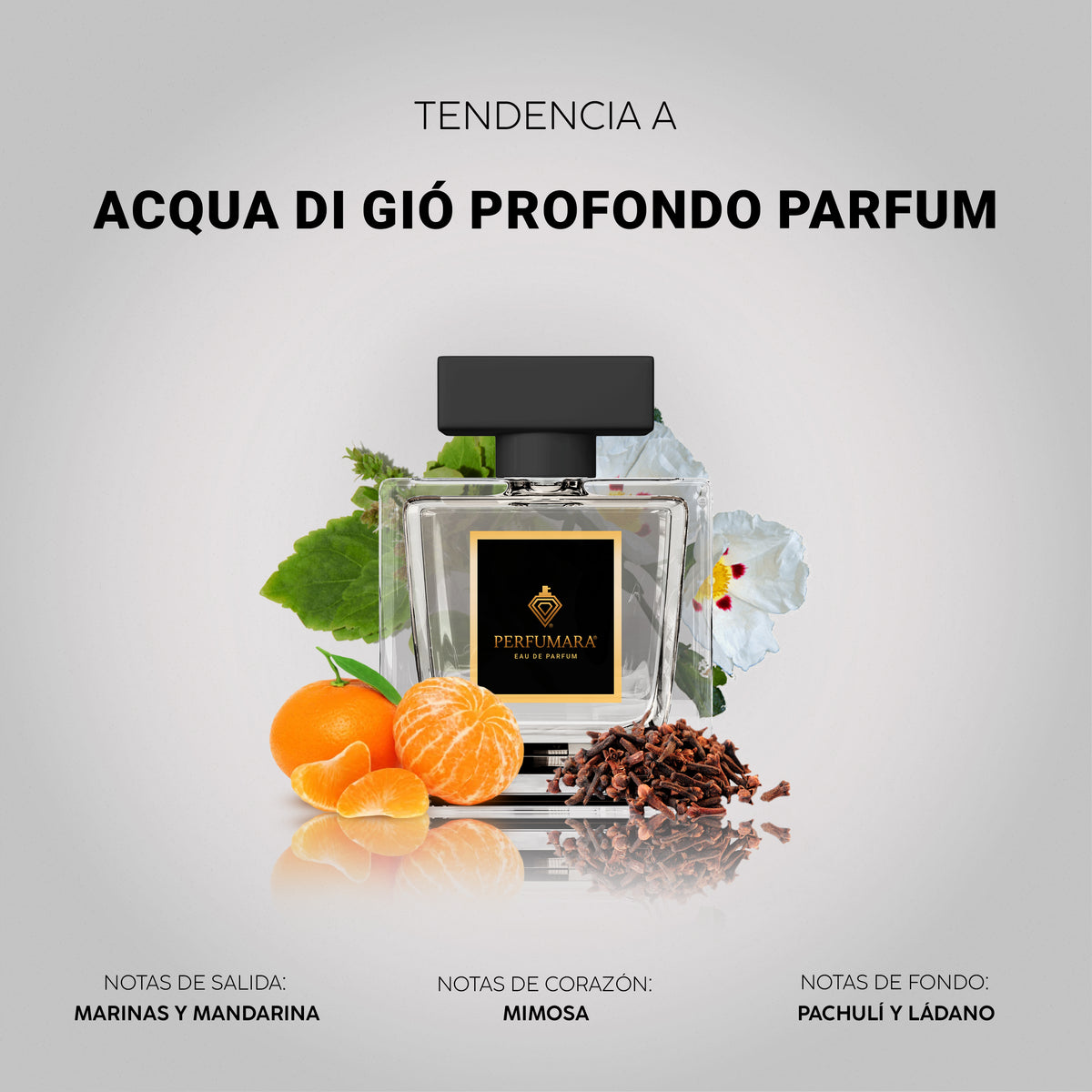 Tendencia a Aqua di Giò Profondo Parfum