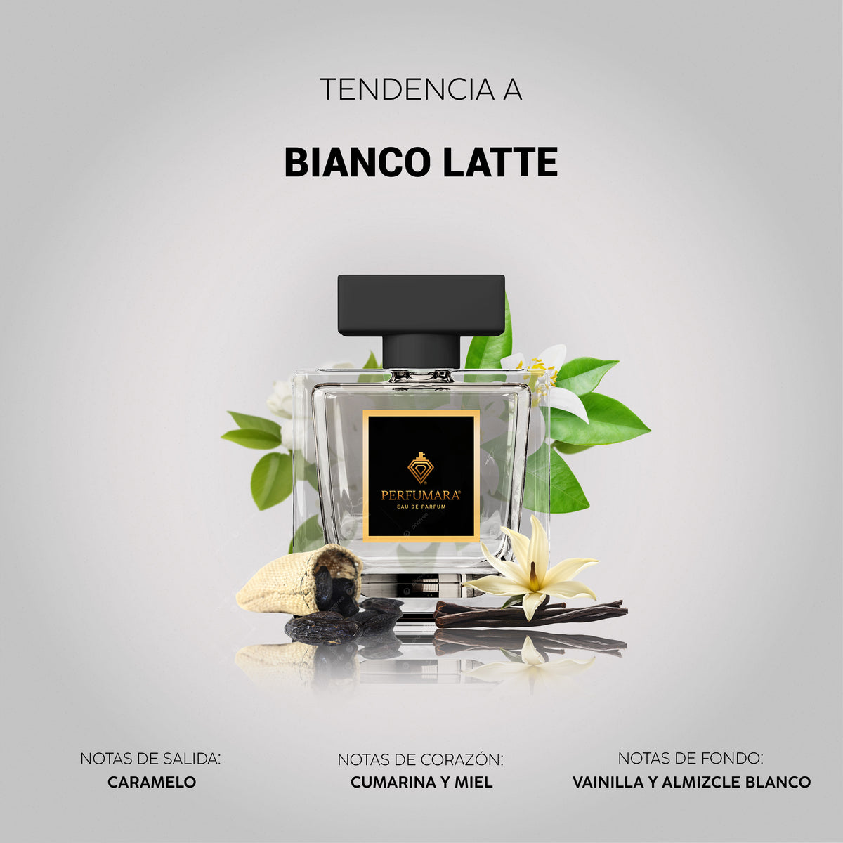 Tendencia a Bianco Latte