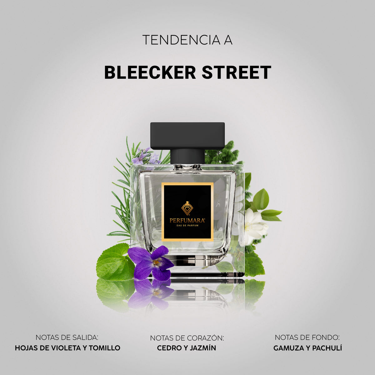 Tendencia a Bleecker Street