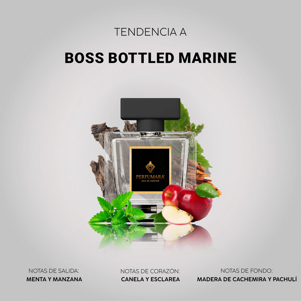 Tendencia a Boss Bottled Marine