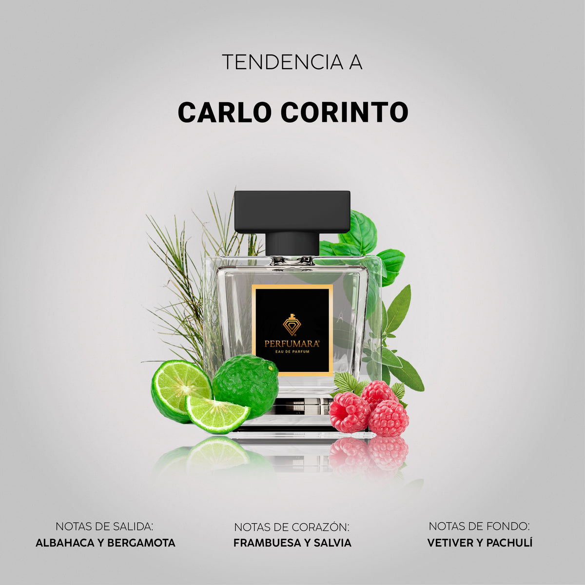 Tendencia a Carlo Corinto