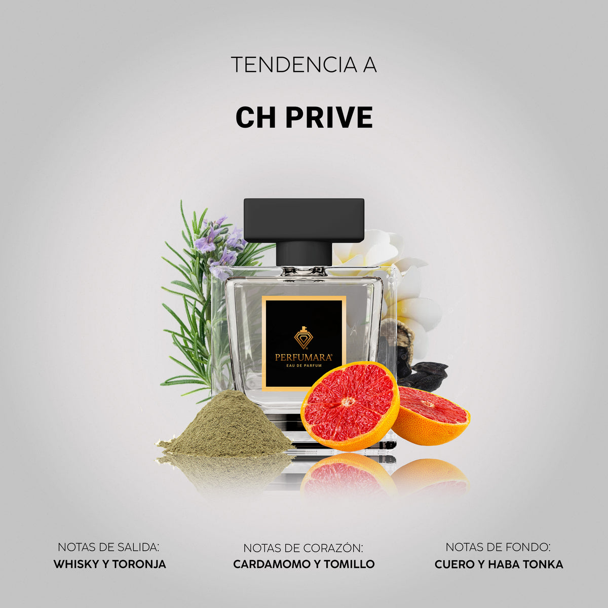 Tendencia a Ch Prive