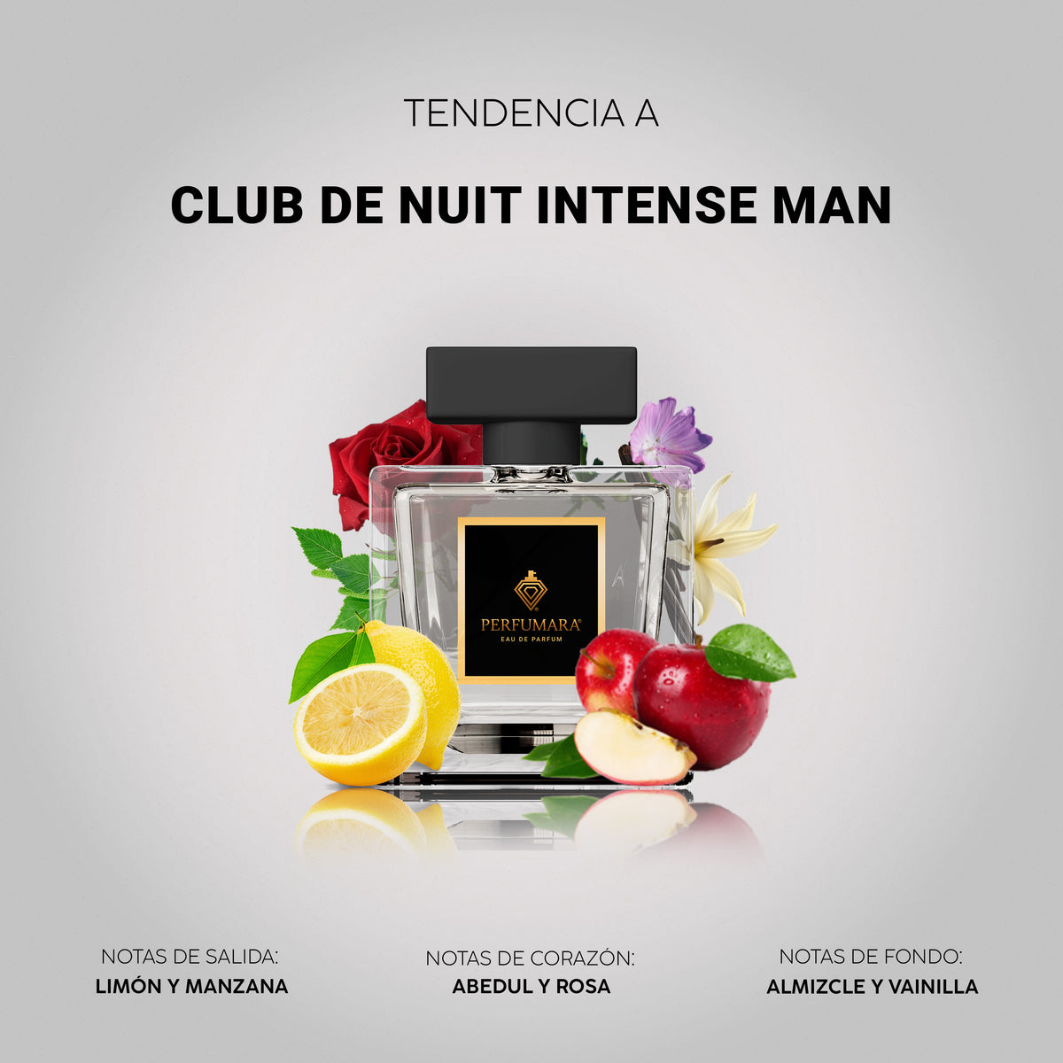 Tendencia a Club de Nuit Intense Man
