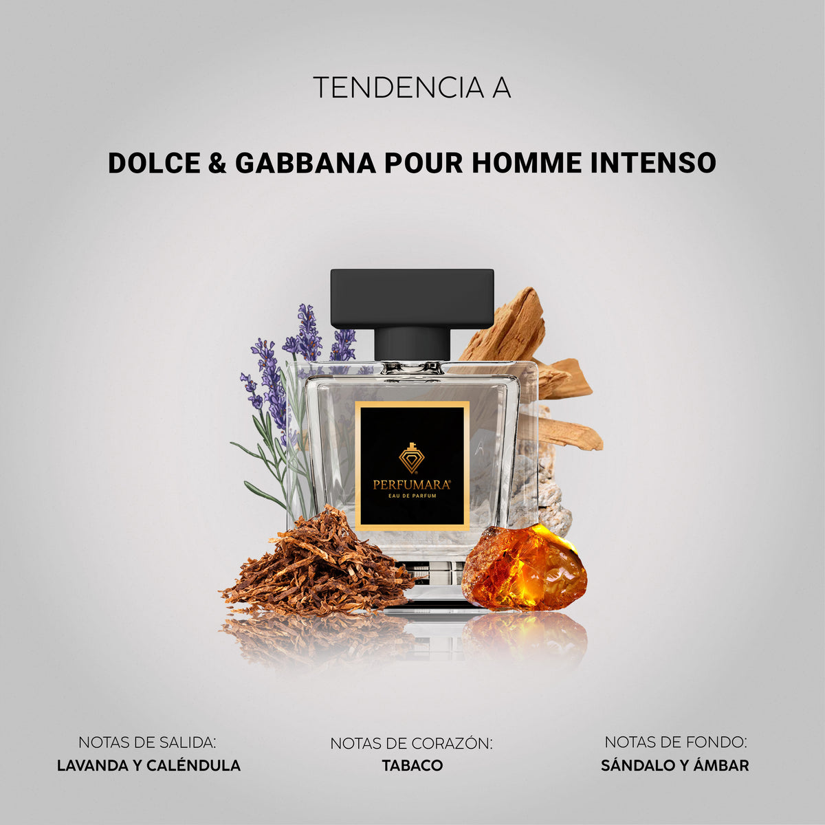 Tendencia a Dolce & Gabbana Pour Homme Intenso
