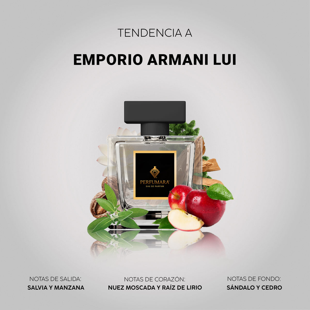 Tendencia a Emporio Armani Lui