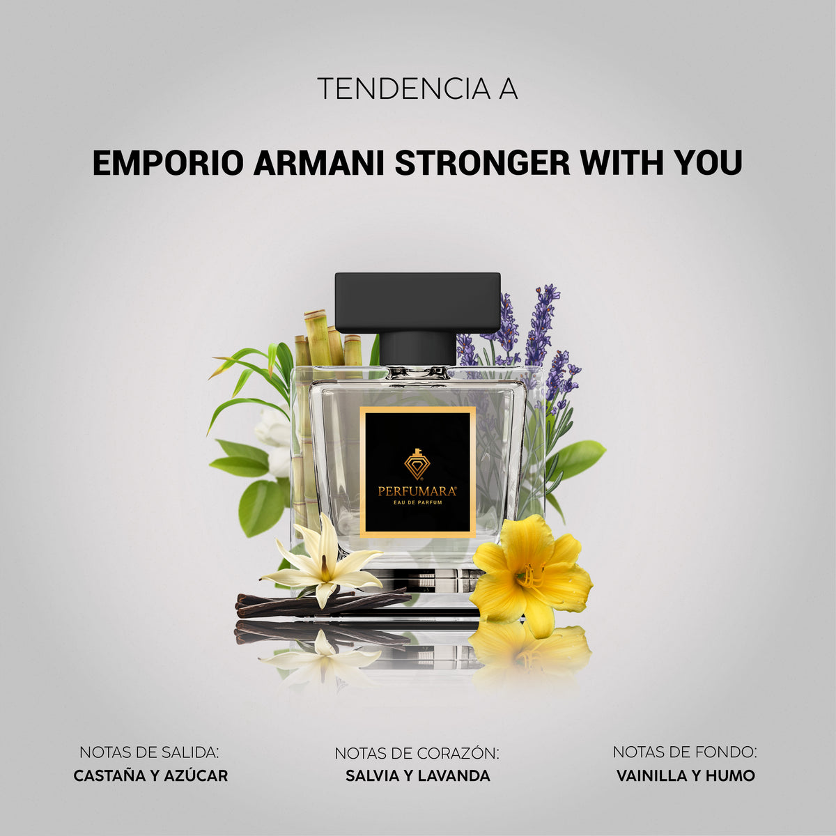 Tendencia a Stronger With You Leather