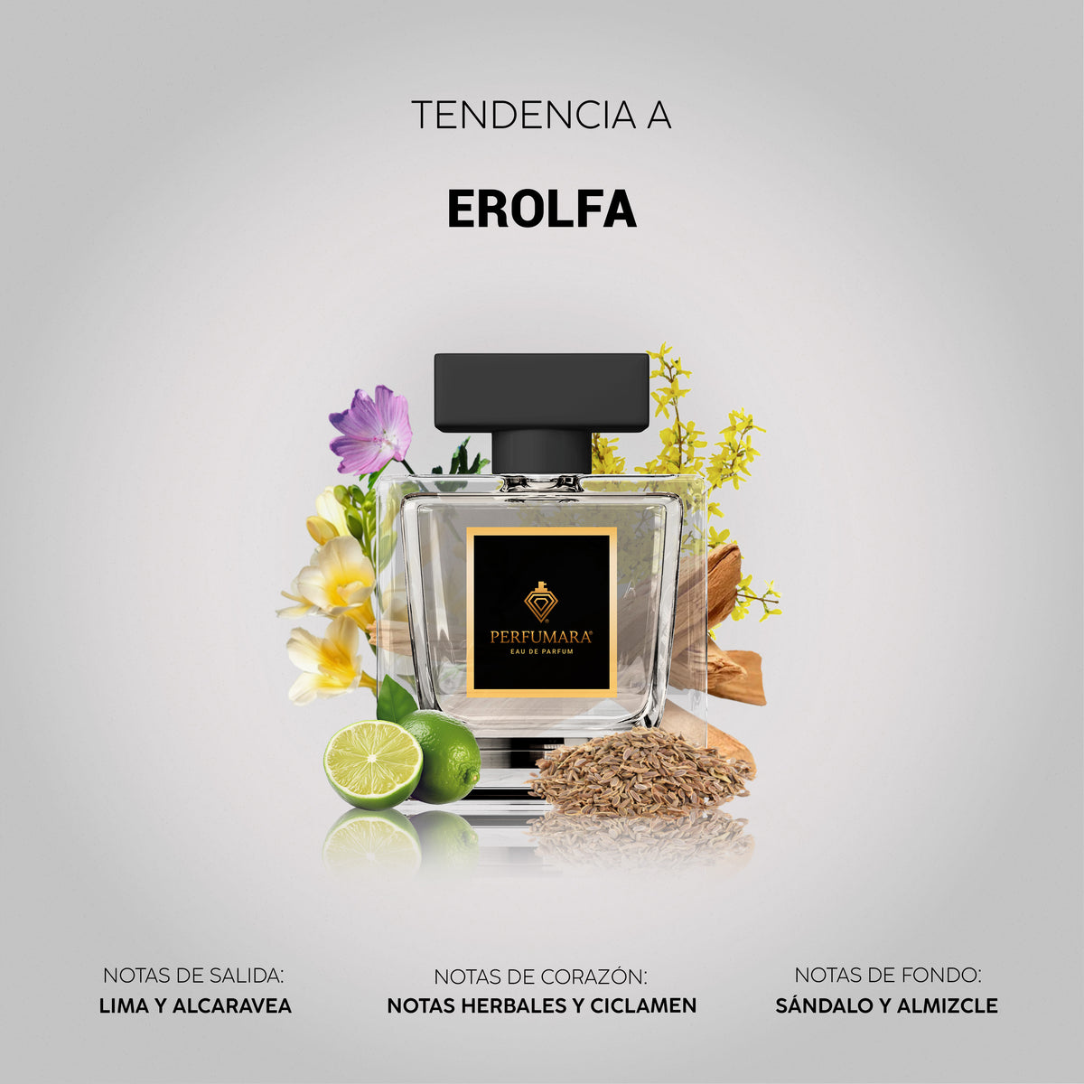 Tendencia a Erolfa