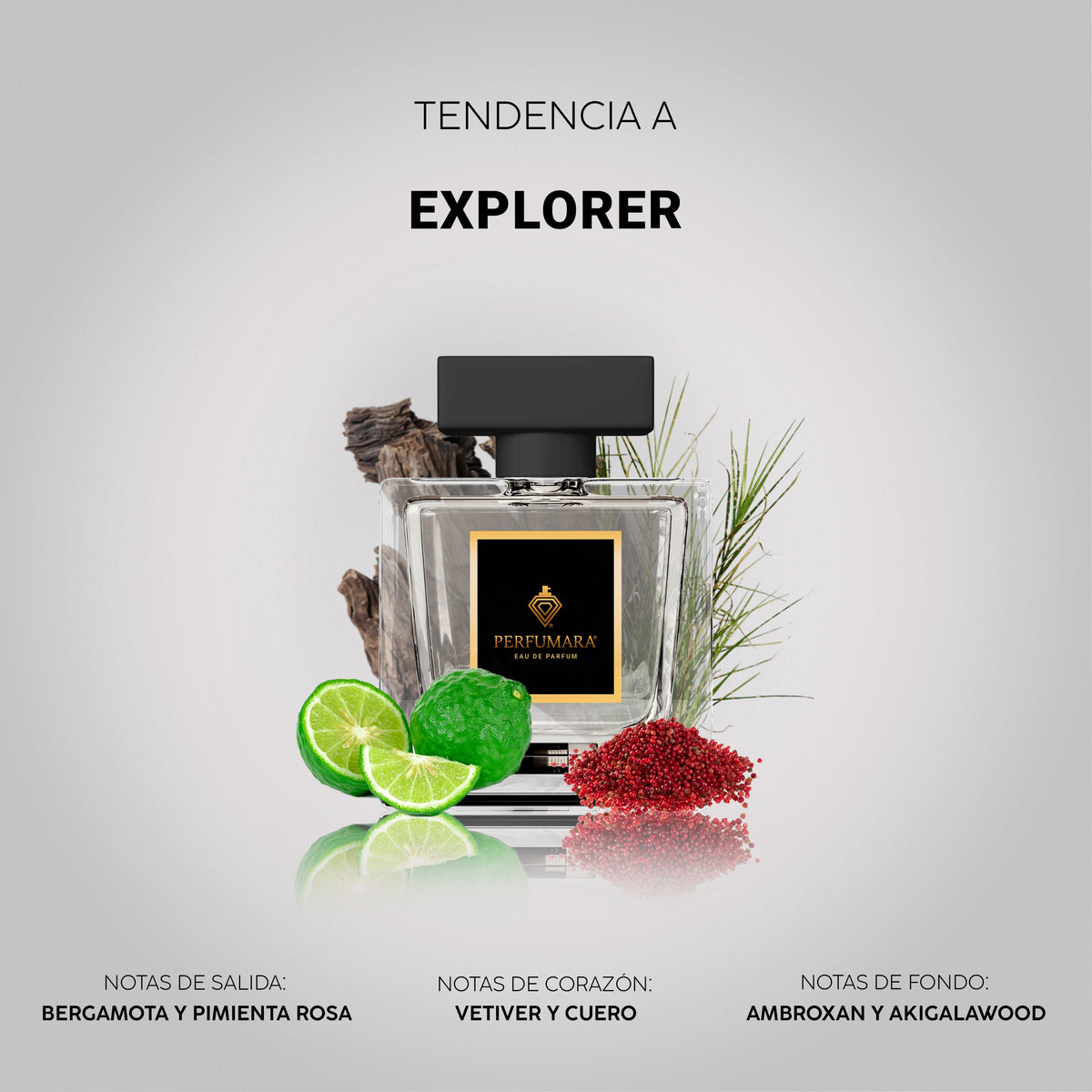 Tendencia a Explorer