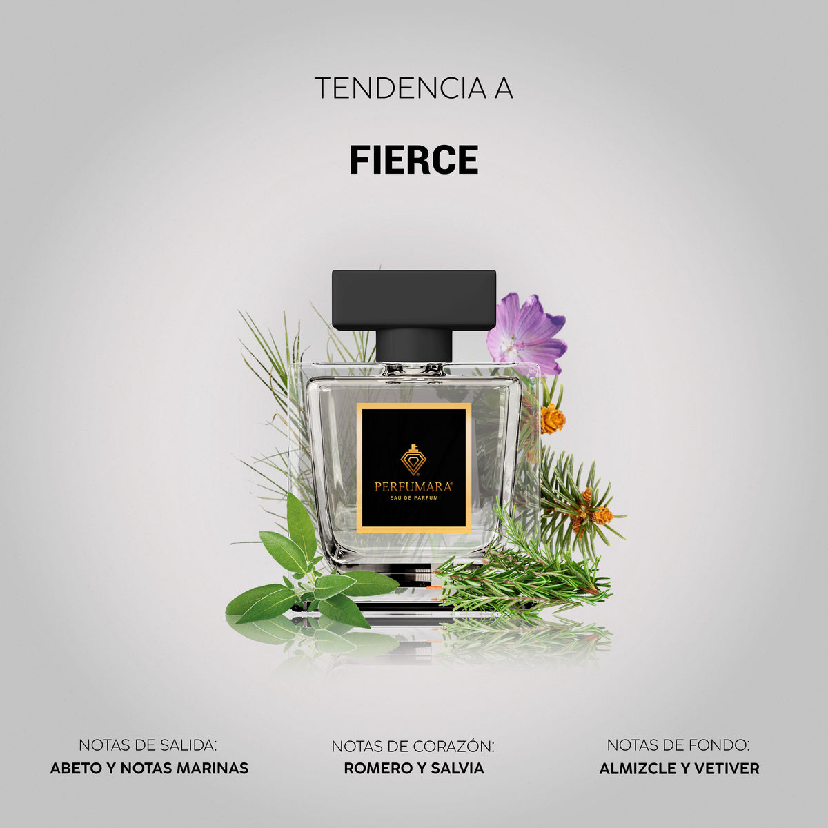 Tendencia a Fierce