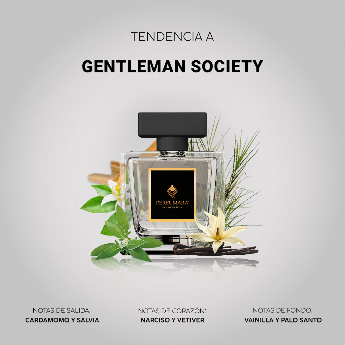 Tendencia a Gentleman Society