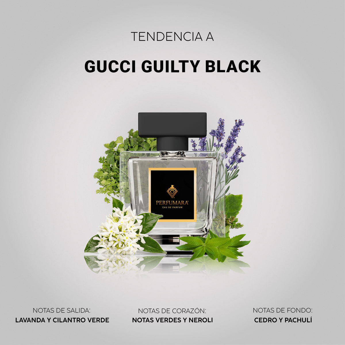 Tendencia a Gucci Guilty Black
