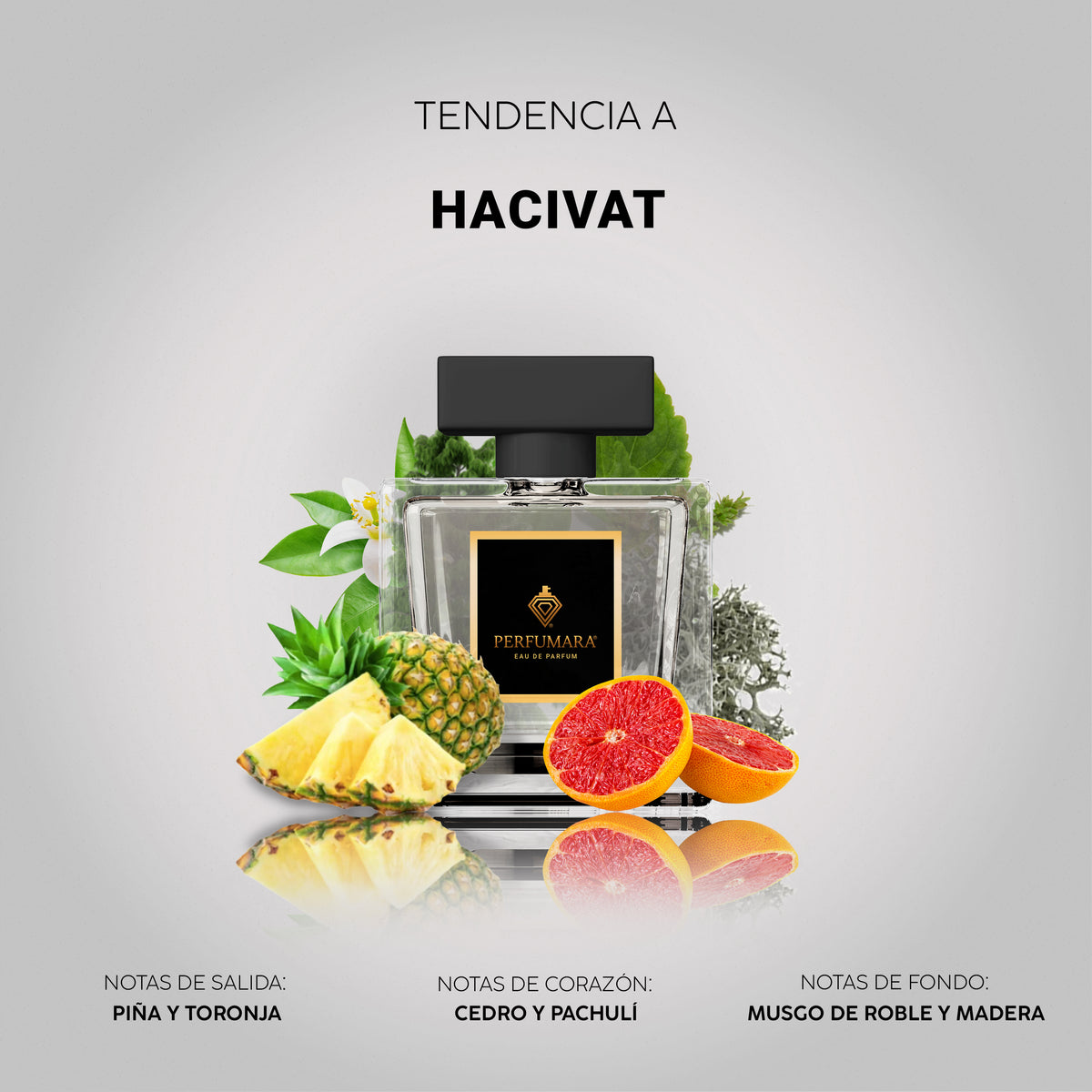 Tendencia a Hacivat