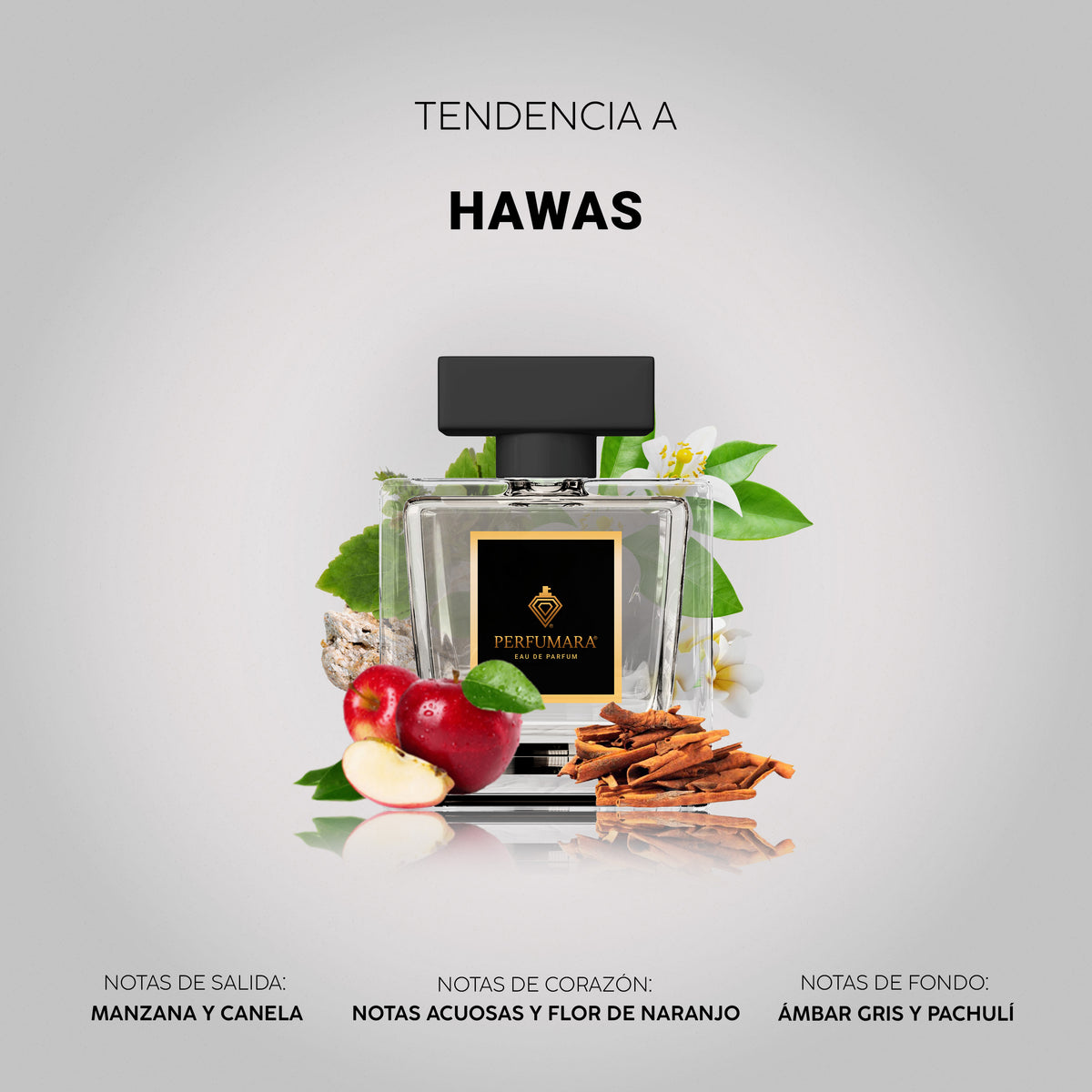 Tendencia a Hawas