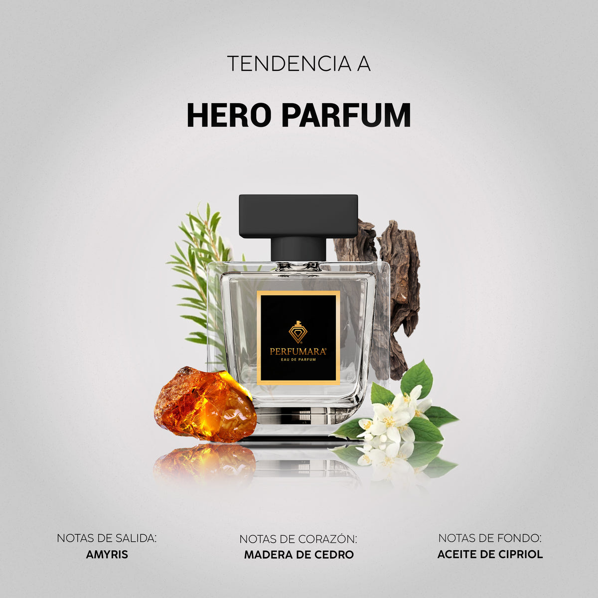Tendencia a Hero Parfum