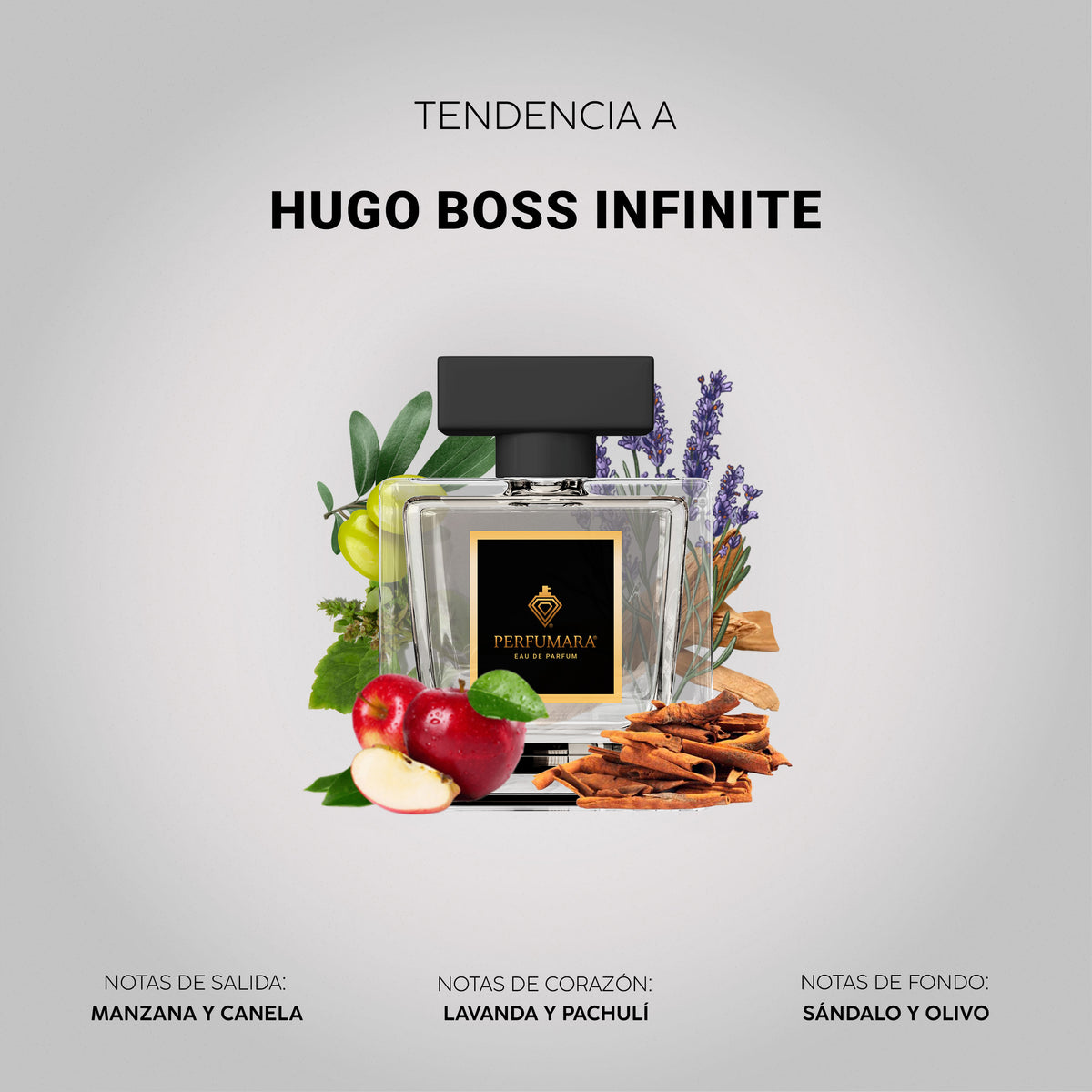 Tendencia a Hugo Boss Infinite