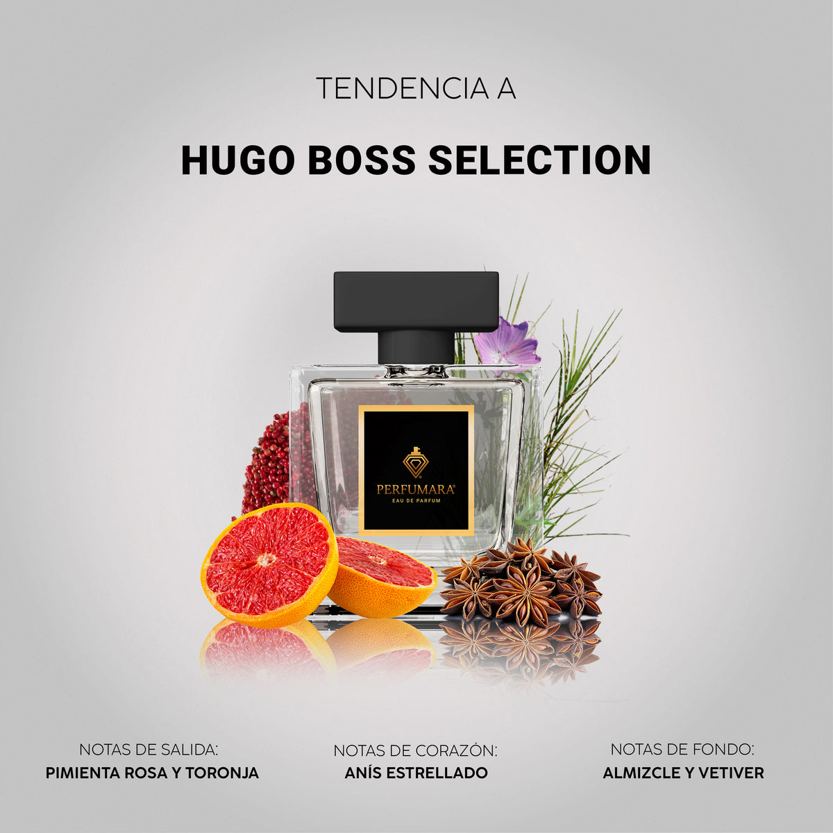 Tendencia a Hugo Boss Selection