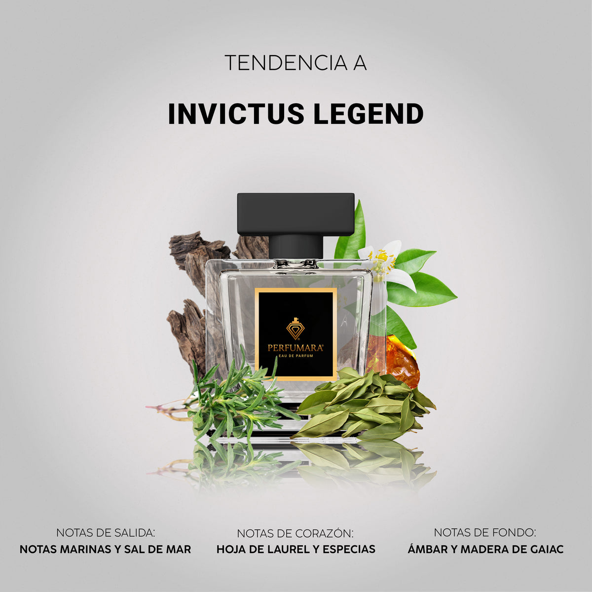 Tendencia a Invictus Legend