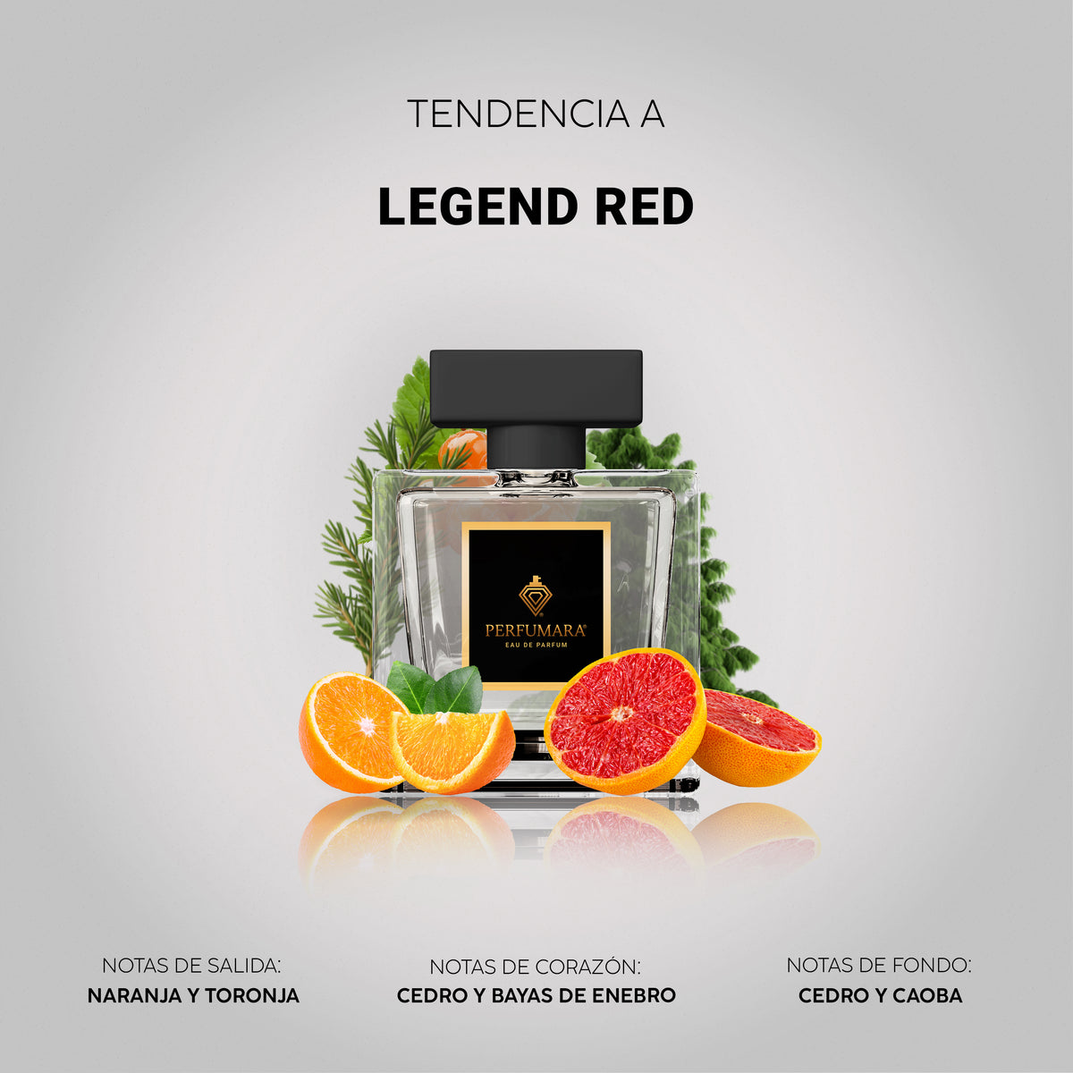 Tendencia a Legend Red