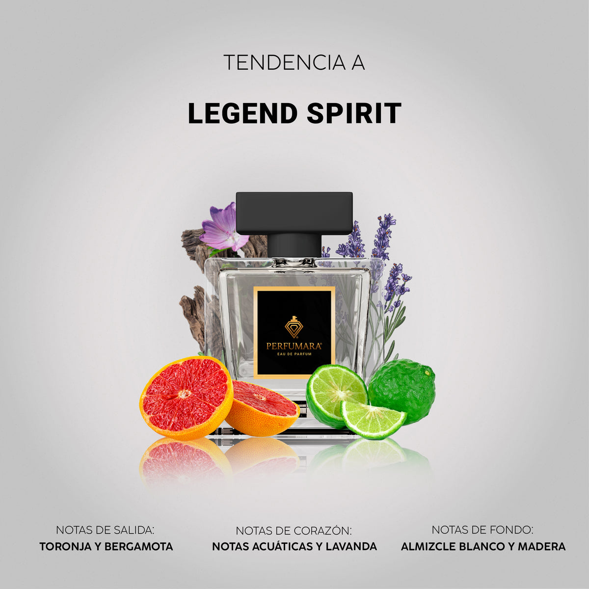 Tendencia a Legend Spirit