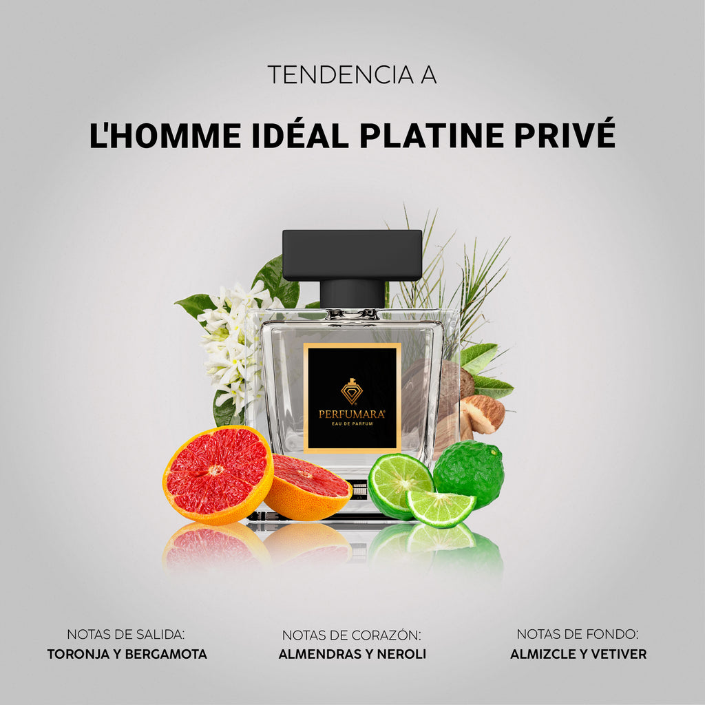 Tendencia a L’Homme Idéal Platine Privé