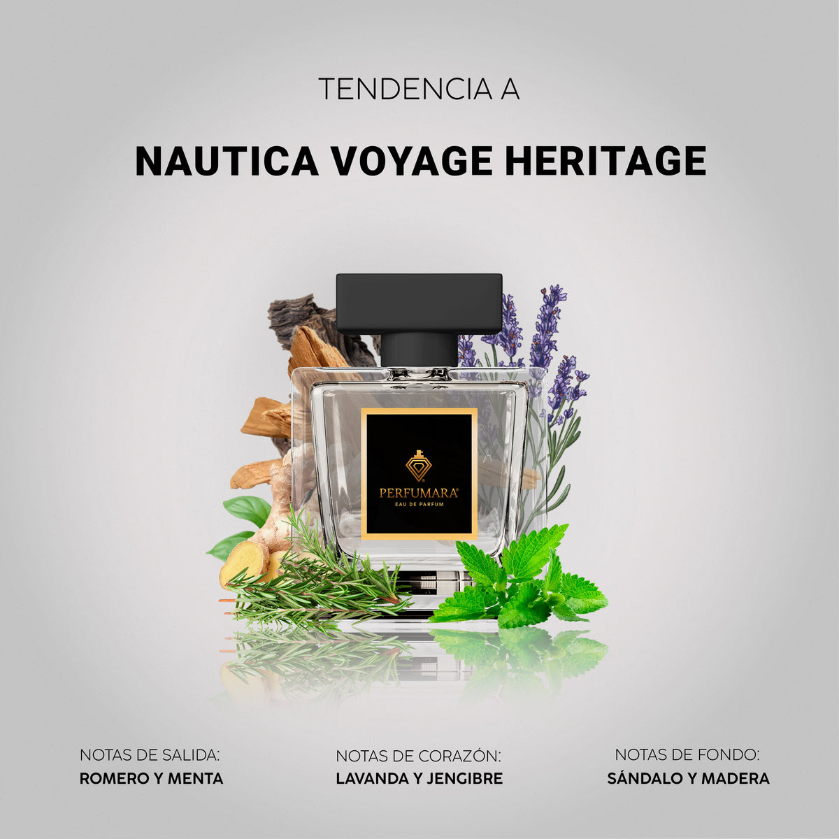 Tendencia a Nautica Voyage Heritage