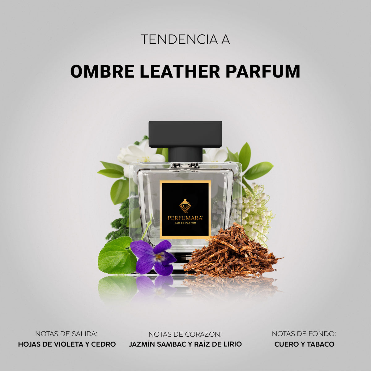 Tendencia a Ombré Leather Parfum