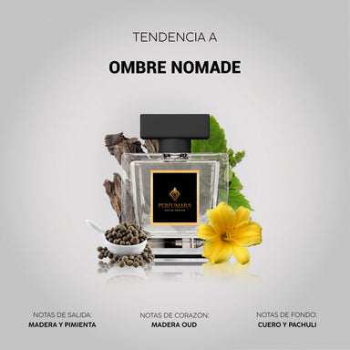 Tendencia a Ombre Nomade