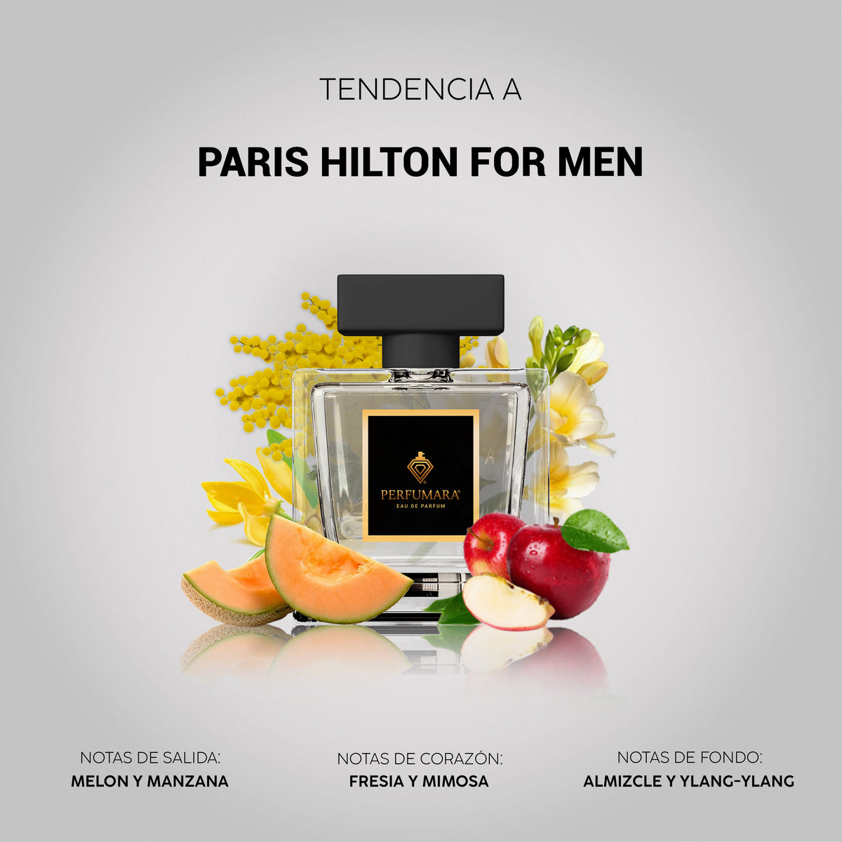 Tendencia a Paris Hilton For Men