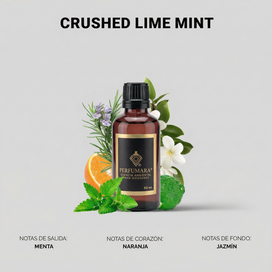 Crushed Lime Mint