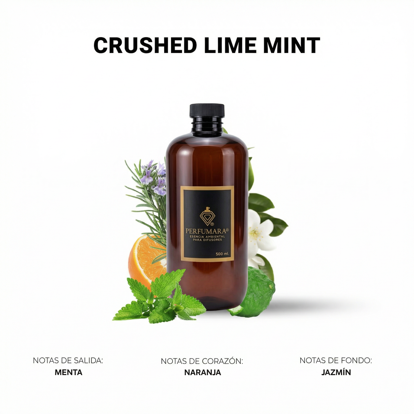 Crushed Lime Mint