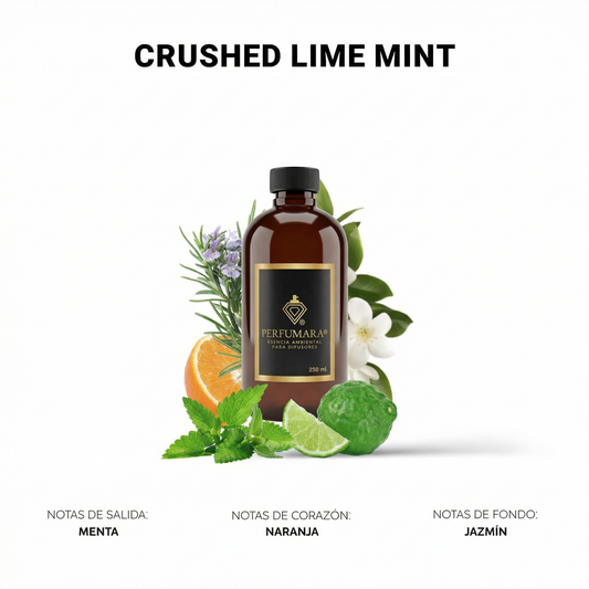 Crushed Lime Mint