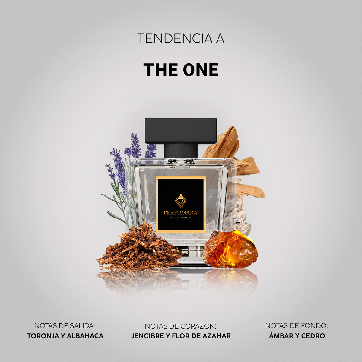 Tendencia a The One