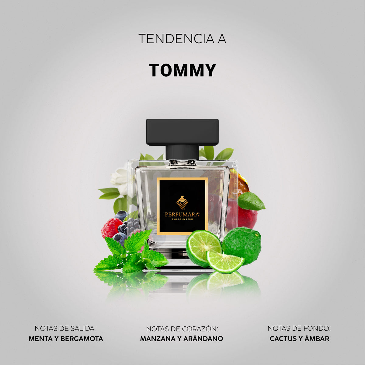 Tendencia a Tommy