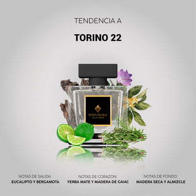 Tendencia a Torino 22