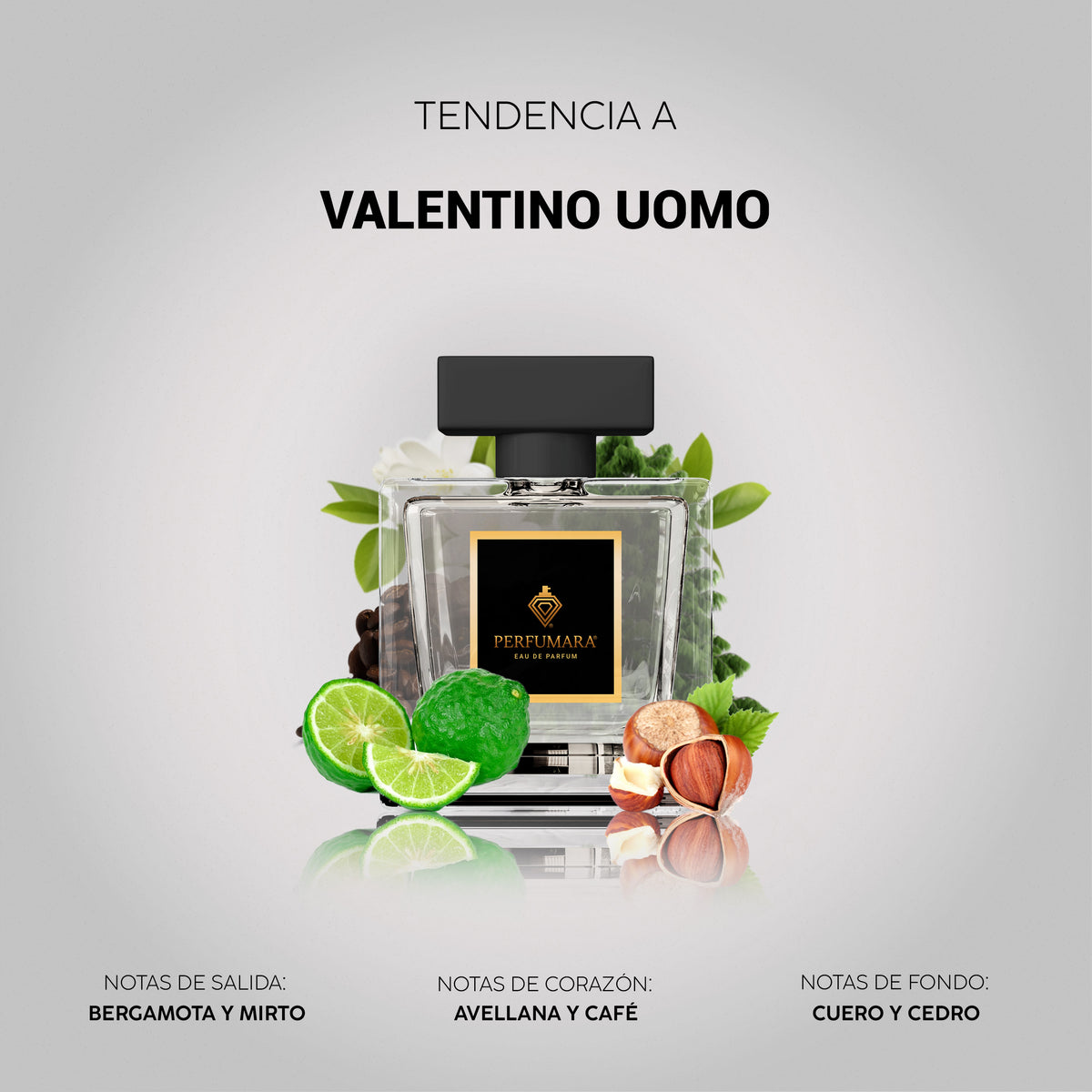 Tendencia a Valentino Uomo