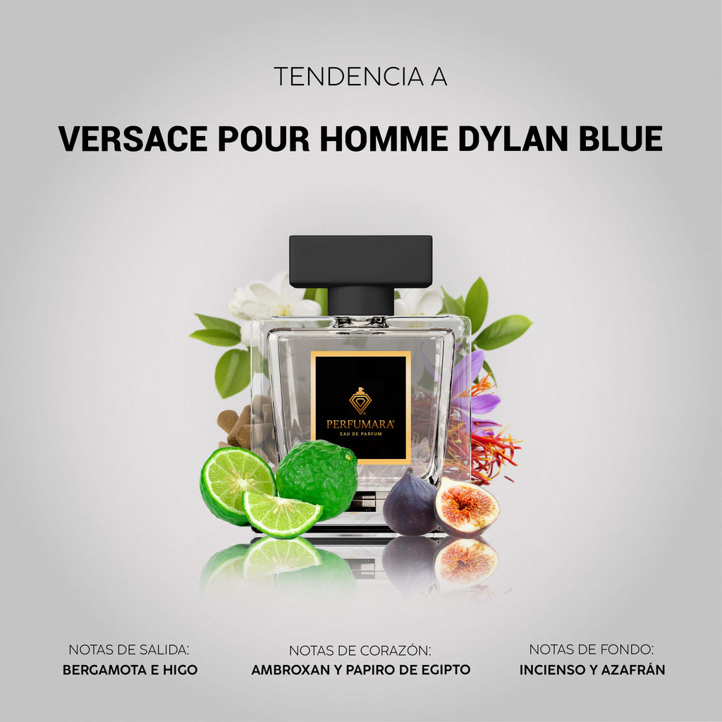 Tendencia a Versace Pour Homme Dylan Blue