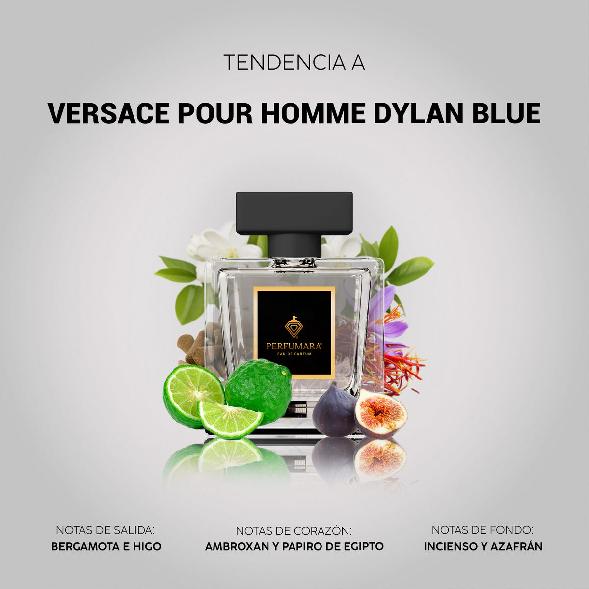Tendencia a Versace Pour Homme Dylan Blue