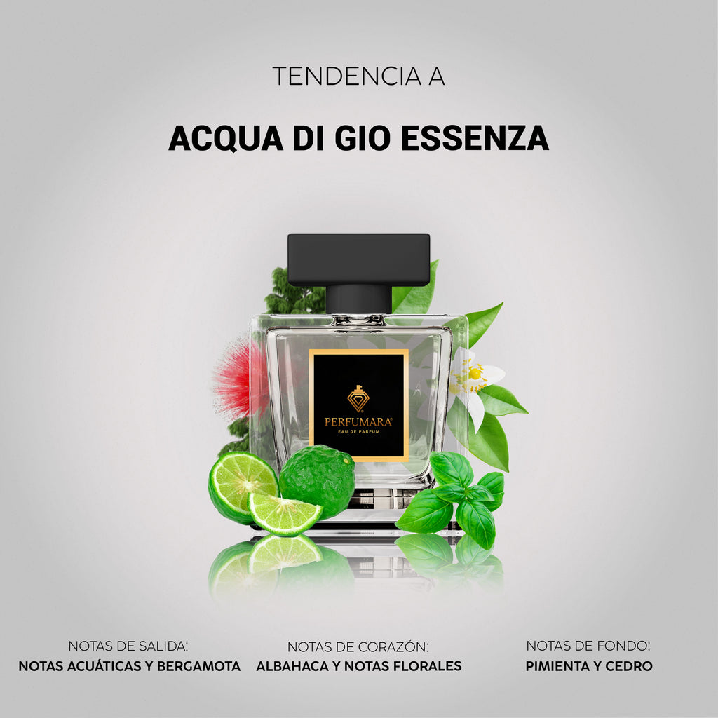 Tendencia a Aqua di Gio Essenza