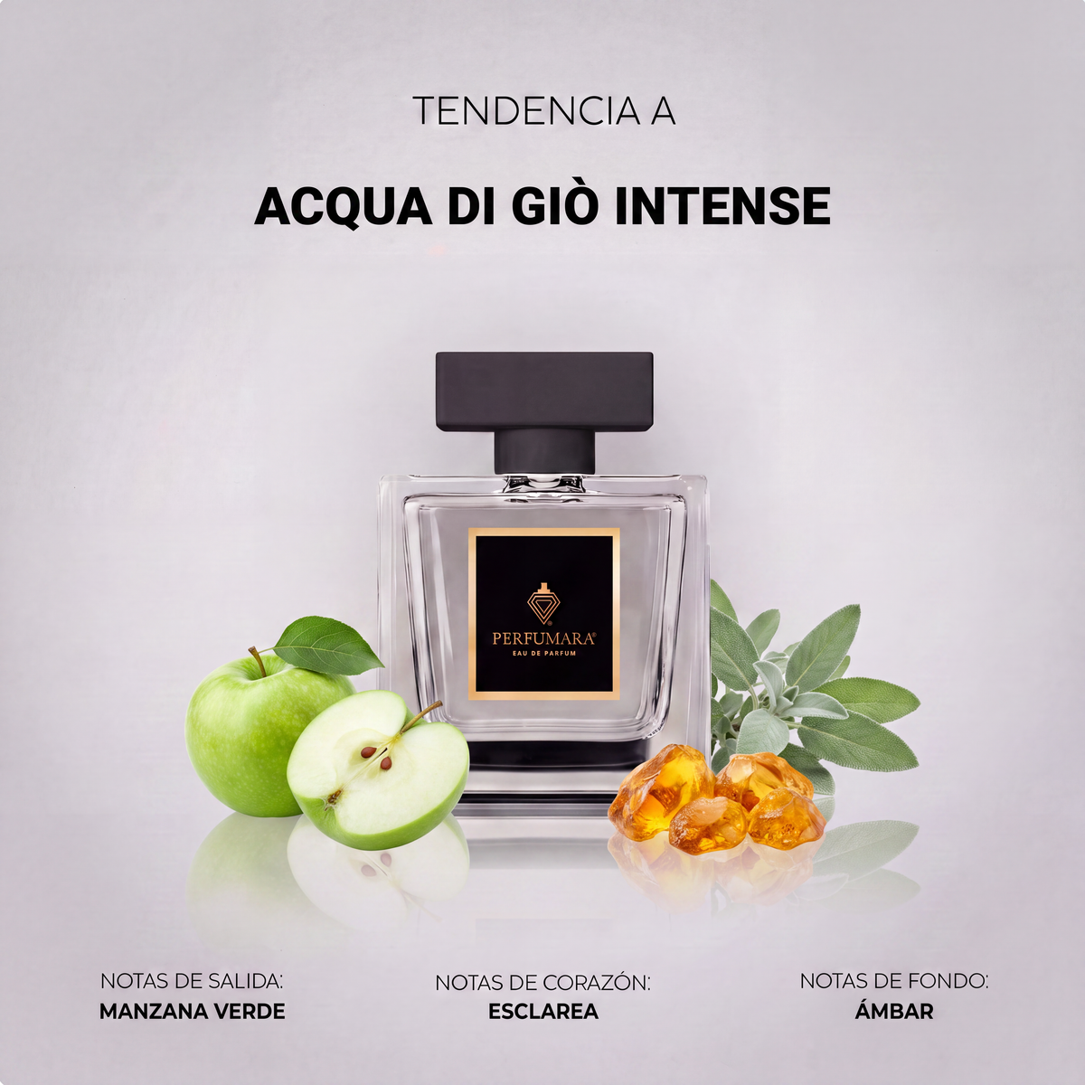 Tendencia a CAcqua Di Intense