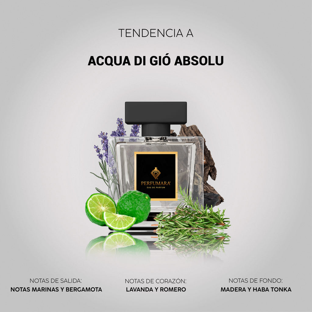 Tendencia a Acqua di Giò Absolu